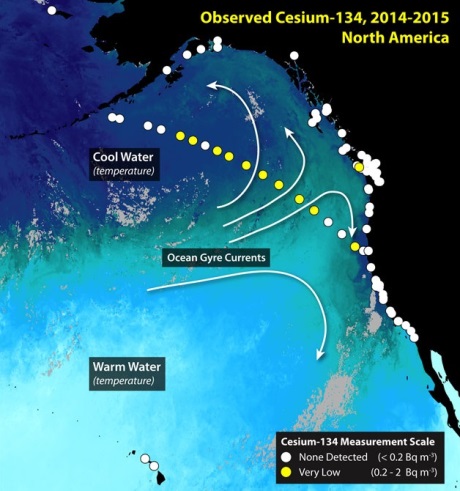 North America cesium 134 2014-15 460 (WHOI)